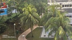 Blk 768 Pasir Ris Street 71 (Pasir Ris), HDB 4 Rooms #578754031